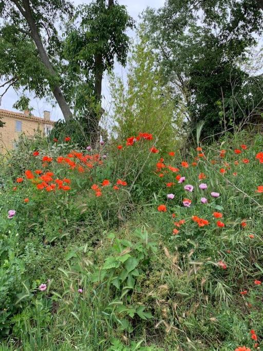 Gite Calme Et Cosy D' Eole Cornillon-Confoux Exterior foto